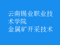金屬礦開(kāi)采技術(shù)
