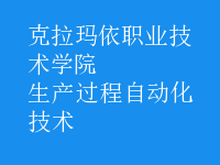 生產(chǎn)過(guò)程自動(dòng)化技術(shù)