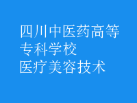 醫(yī)療美容技術