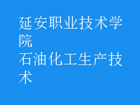 石油化工生產技術