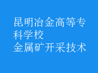 金屬礦開(kāi)采技術(shù)