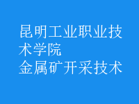 金屬礦開(kāi)采技術(shù)