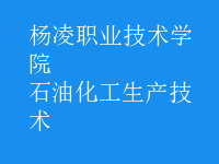 石油化工生產技術