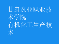 有機化工生產(chǎn)技術