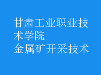 金屬礦開(kāi)采技術(shù)