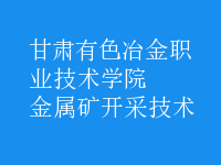 金屬礦開(kāi)采技術(shù)