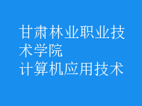 計算機應用技術