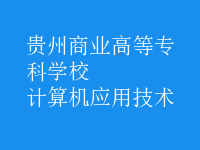計算機應用技術