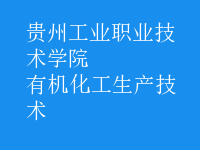 有機化工生產(chǎn)技術