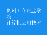 計算機應用技術