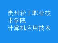計算機應用技術
