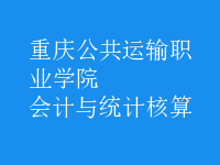 會計與統(tǒng)計核算