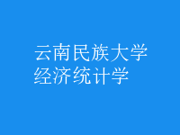 經(jīng)濟(jì)統(tǒng)計學(xué)