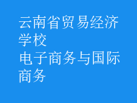 電子商務(wù)與國(guó)際商務(wù)