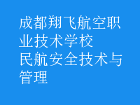 民航安全技術與管理